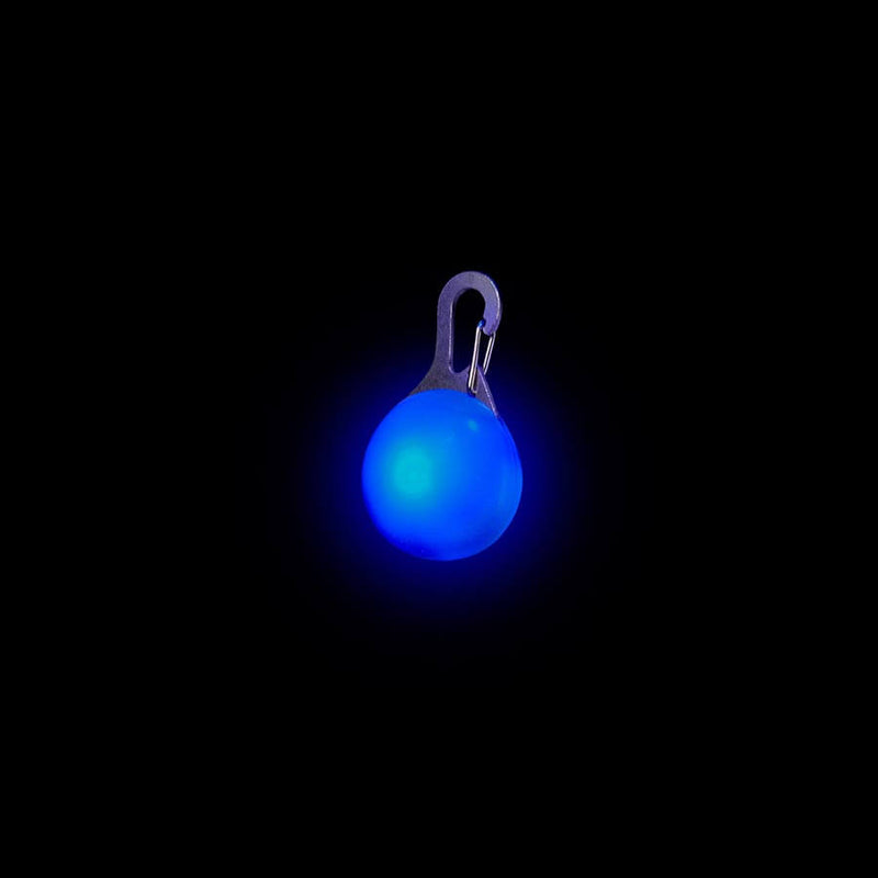 Loomo LED Collar Light Blue