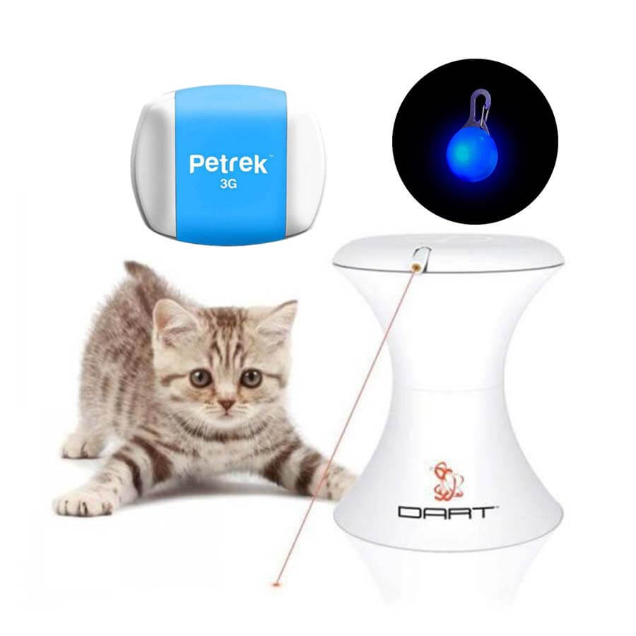 Cat Tech