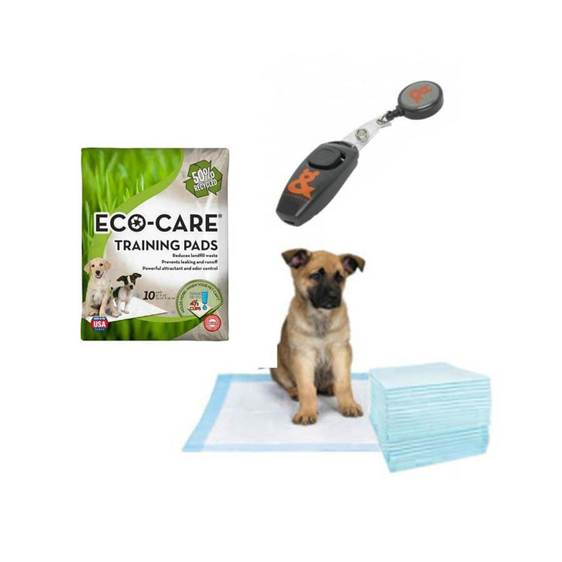 Dog Training