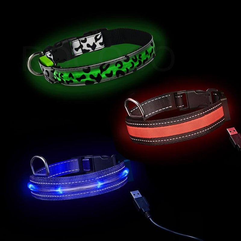 Loomo Collars