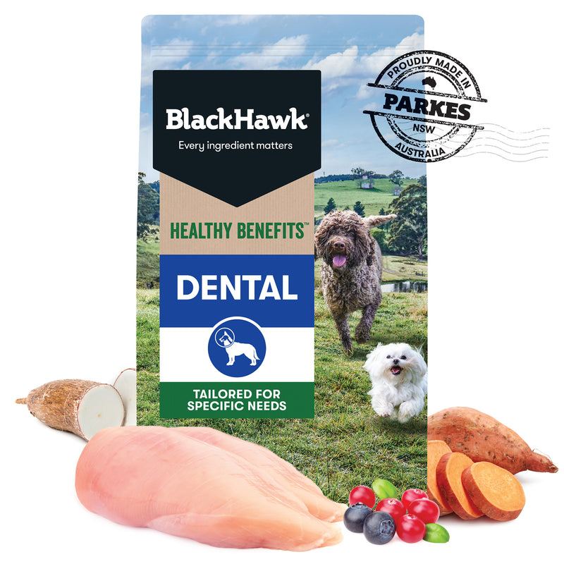 Black Hawk Dog Healthy Benefits Dental