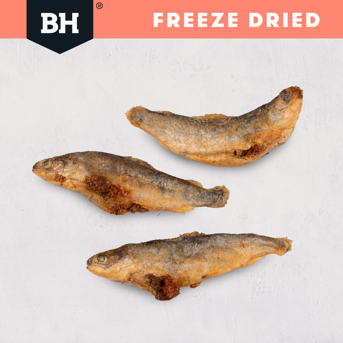 Black Hawk Freeze Dried Whole Salmon 45g