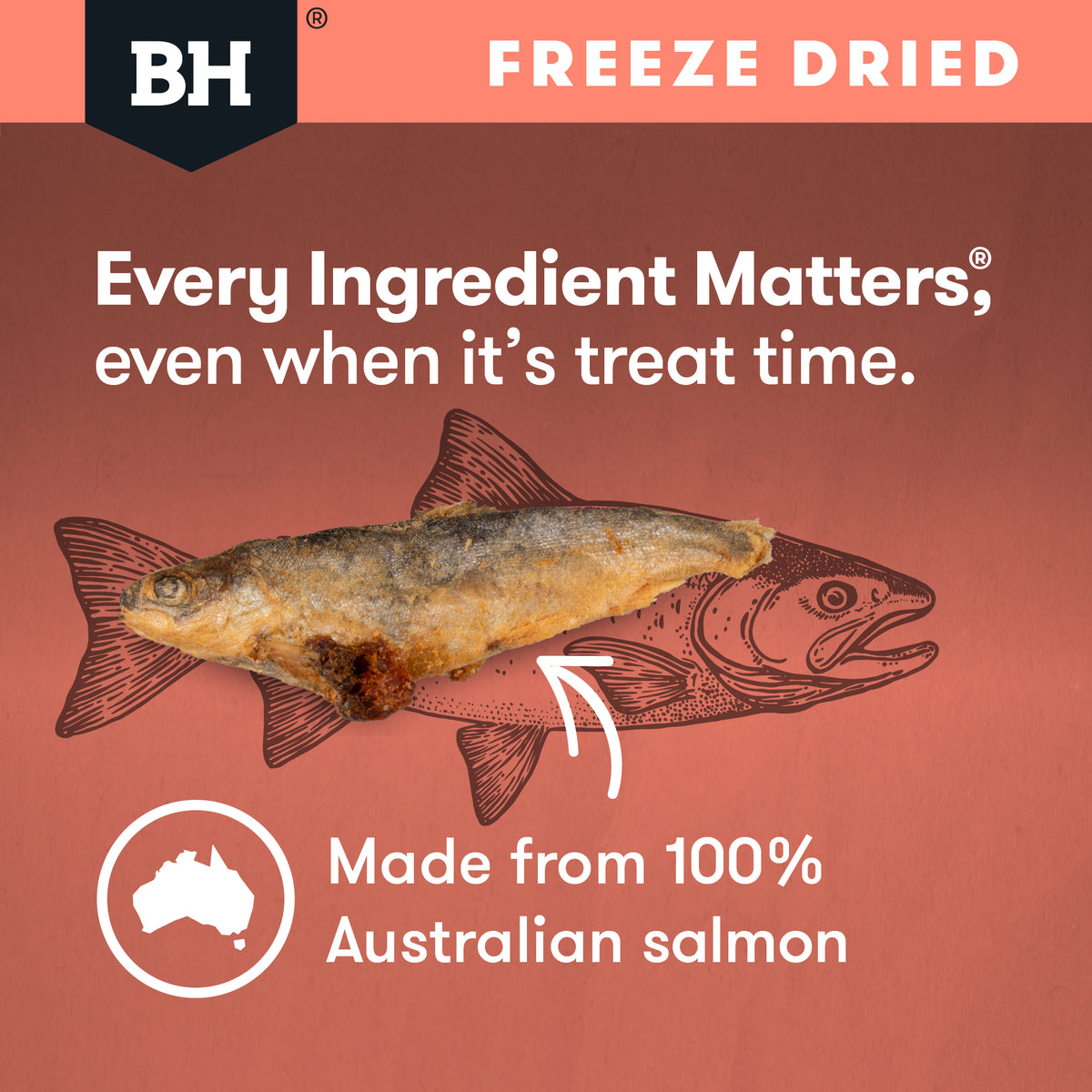 Black Hawk Freeze Dried Whole Salmon 45g