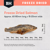 Black Hawk Freeze Dried Whole Salmon 45g