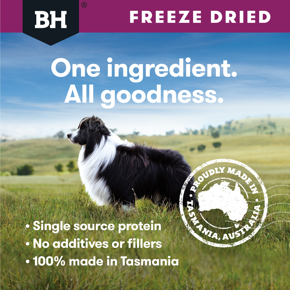 Black Hawk Freeze Dried Lamb 50g