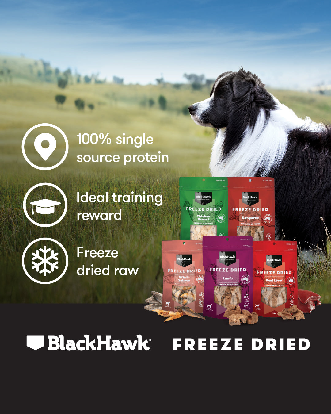 Black Hawk Freeze Dried Beef Liver 50g