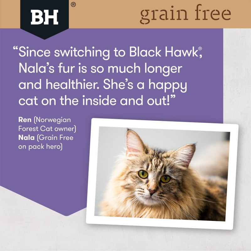 Black Hawk Feline Grain Free Duck Fish-8