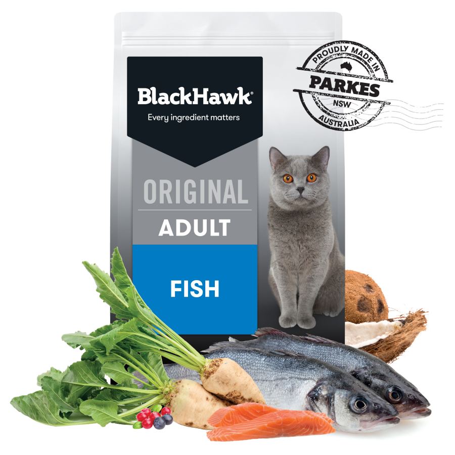 Black Hawk Cat Food Feline Fish