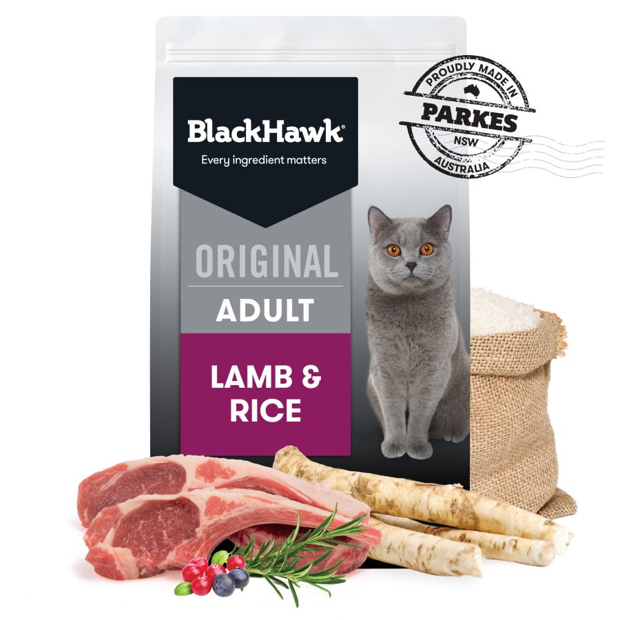 Black Hawk Feline Lamb