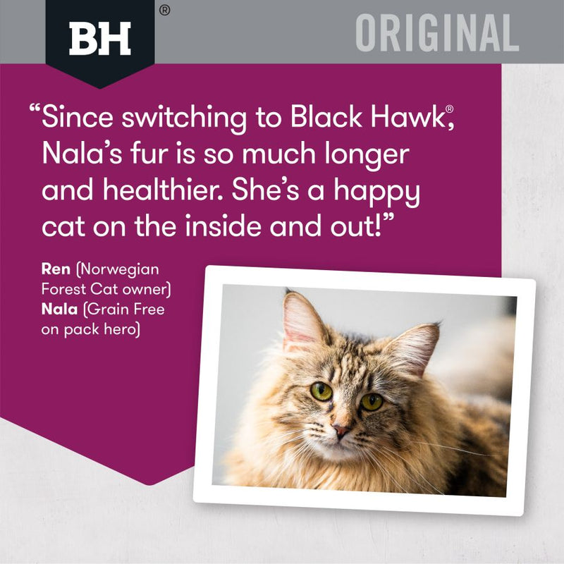 Black Hawk Feline Lamb-7