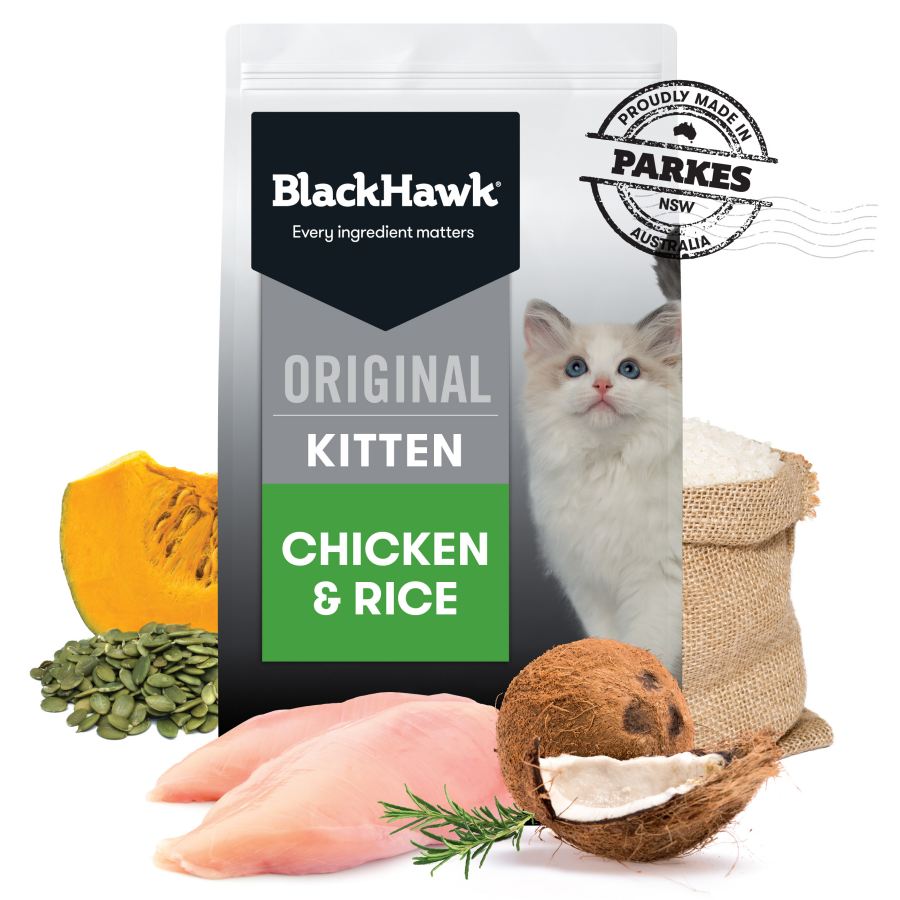 Black Hawk Feline Chicken Kitten