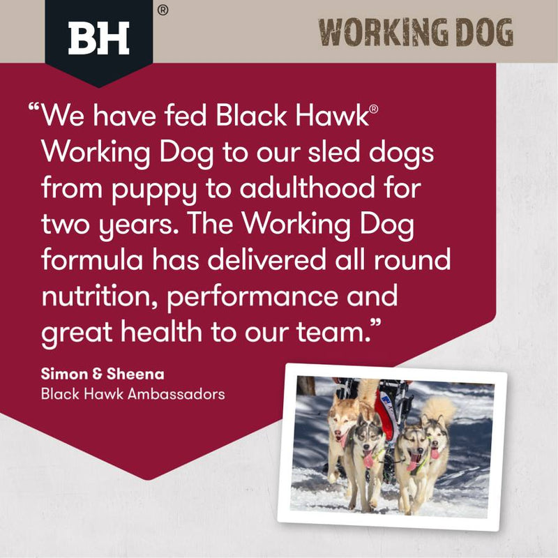 Black Hawk Working Dog Lamb And Beef Dog Dry Food 20kg-6