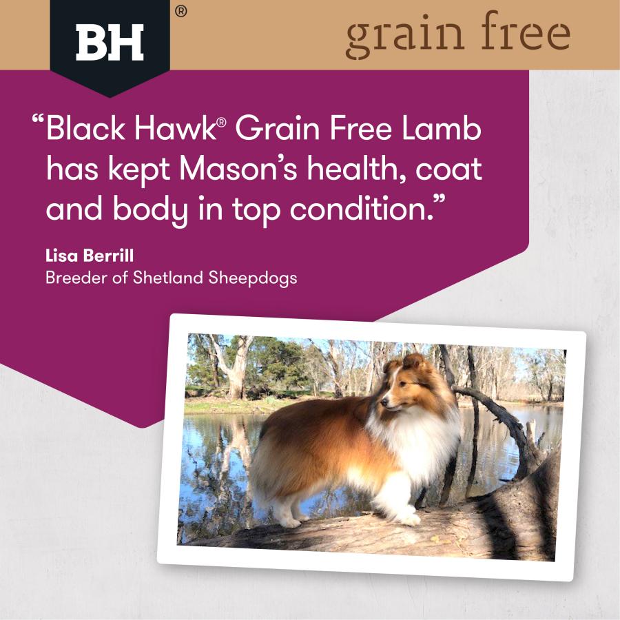 Black Hawk Dog Food Grain Free Lamb-8
