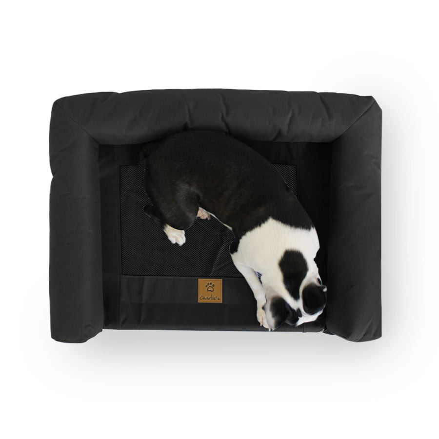 Charlies Elevated Trampoline Bolster Sofa Dog Bed-15