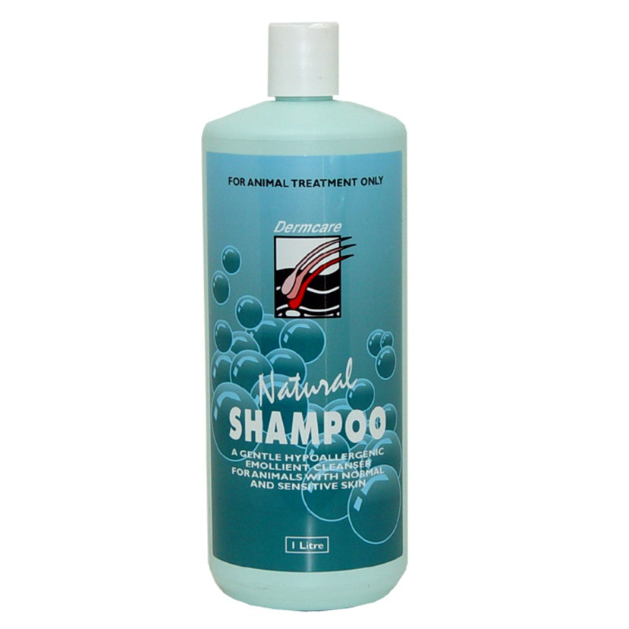 Dermcare Natural Shampoo