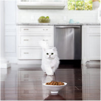 Fancy_Feast_Dry_Chicken_Turkey_Vegetable_450g_3