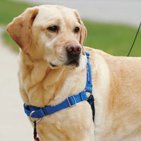 Gentle Leader Harness With Front Leash Attachment Blue