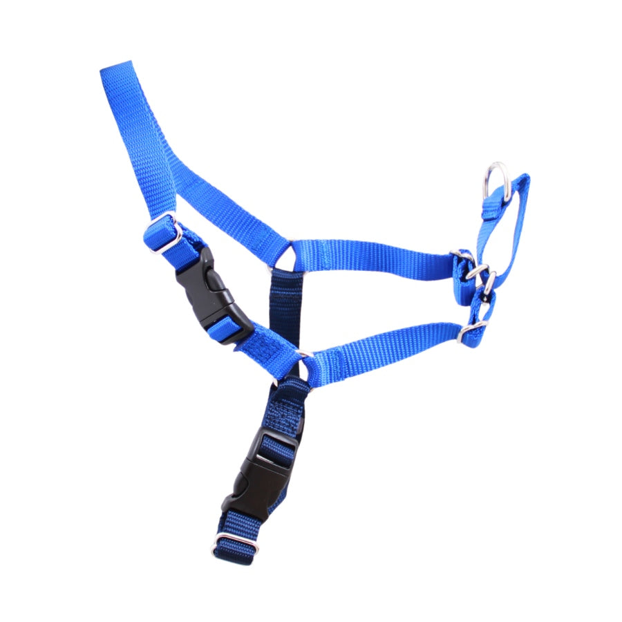 Gentle leader 2025 ewalk harness