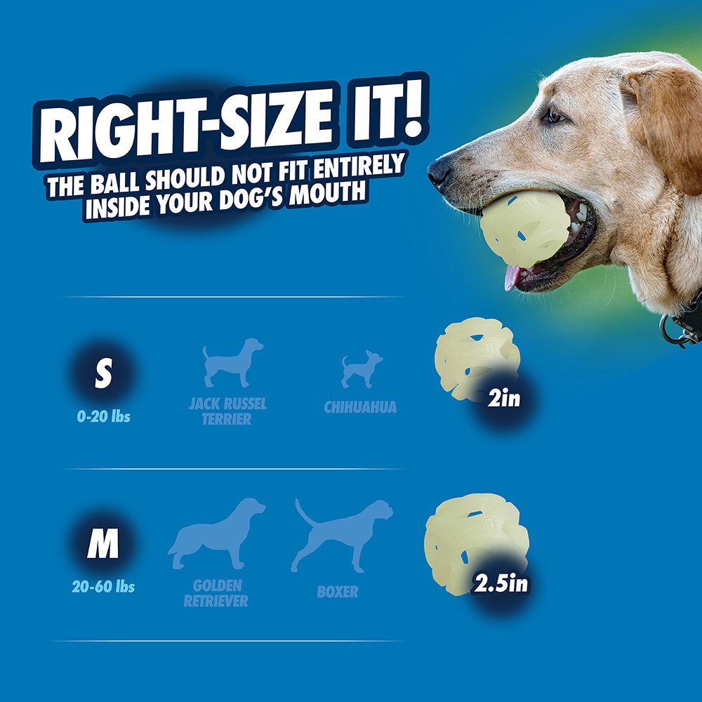 Chuckit! Max Glow Air Fetch Ball Medium 6cm – 2 Pack