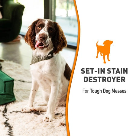 Nature’s Miracle Set-In Stain Destroyer for Dogs 709ml