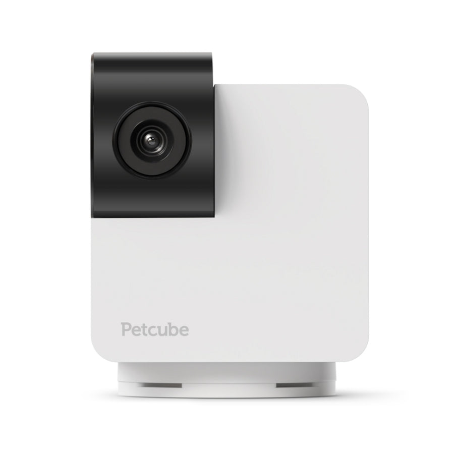 Petcube Cam 360