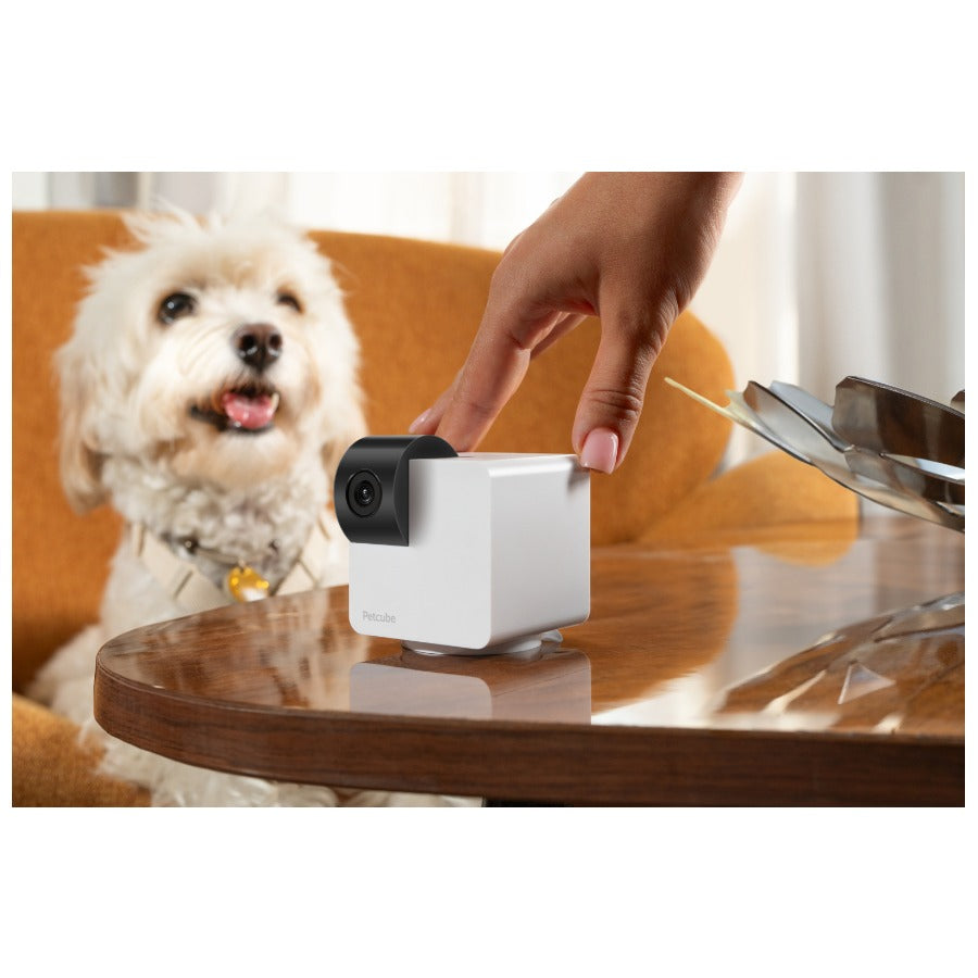 Petcube Cam 360_4