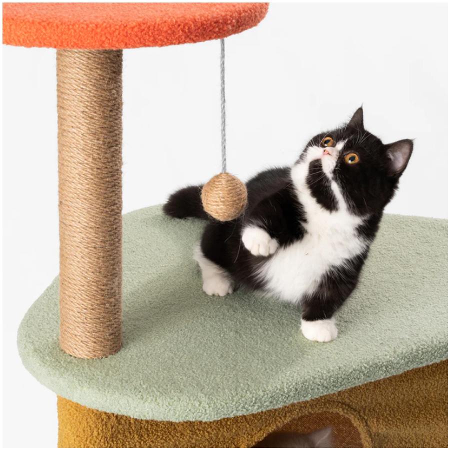 Pidan Cat Tree Fun Play 2