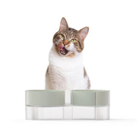 Pidan Dual Bowl for Cats Green 1