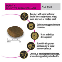 Pro Plan Puppy Sensitive Skin And Stomach Dry Dog Food-4