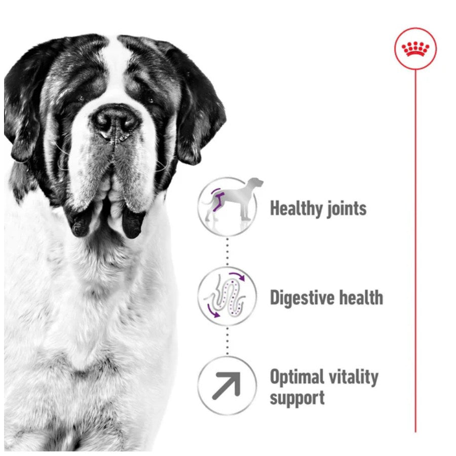 Royal Canin Giant Adult Dry Dog Food 15kg 1