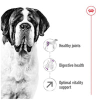 Royal Canin Giant Adult Dry Dog Food 15kg 1