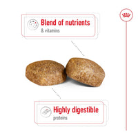 Royal Canin Giant Adult Dry Dog Food 15kg 2