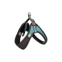 Rogz Urban Adjustable Fast-Fit Harness for Dogs - Turquoise Moon