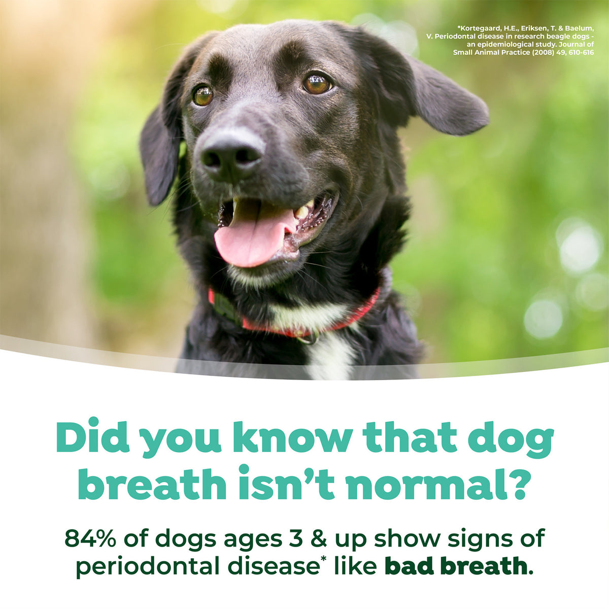 TropiClean Fresh Breath Water Additive Hip And Joint