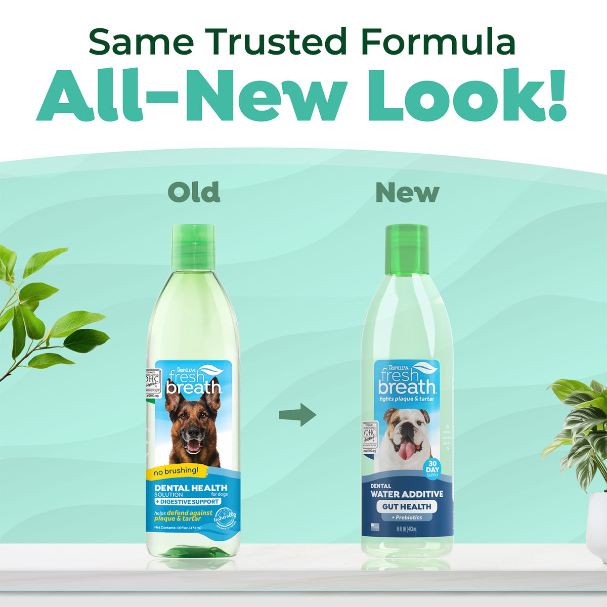 TropiClean Fresh Breath Water Additive Plus Gut Health