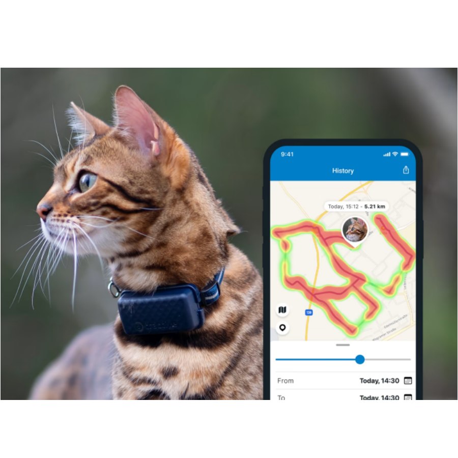 Cat Microchip Pet Gps Tracker Chip Lost Cat Cat Gps Microchip
