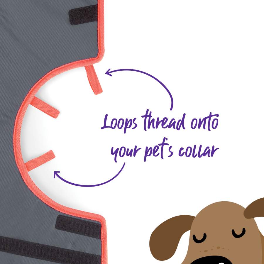 Kazoo Recovery Collar