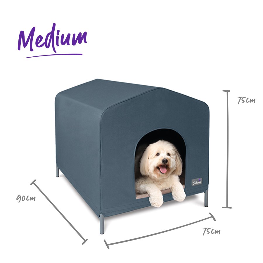 Canvas dog outlet kennel kmart