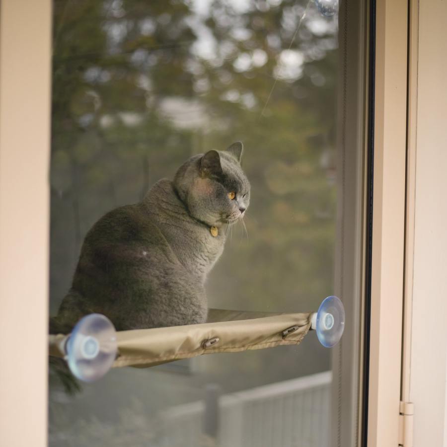 Kazoo The Lookout Deluxe Window Cat Bed