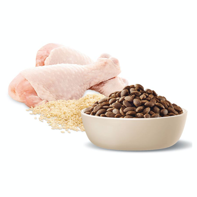 Advance Medium Adult Dry Dog Food Turkey With Rice