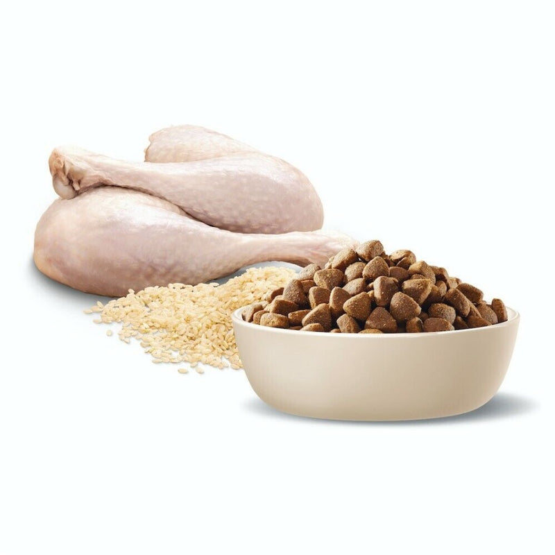 Advance Adult Medium Breed Turkey And Rice 20kg