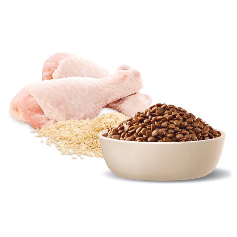 Advance Bulk Bag Adult  Dry Cat Food Chicken With Rice