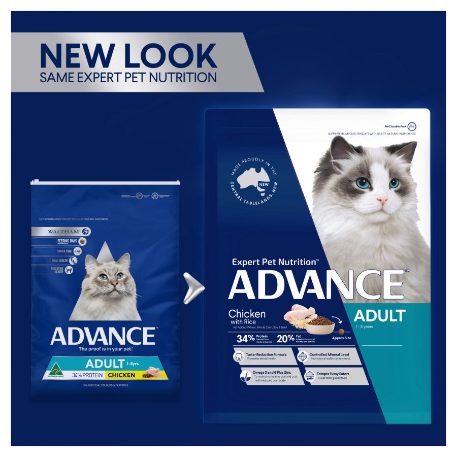 Cheap bulk cat clearance food