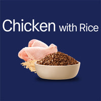 Advanced Cat Indoor Chicken With Rice