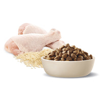 Advance Dog Active All Breed Chicken And Rice