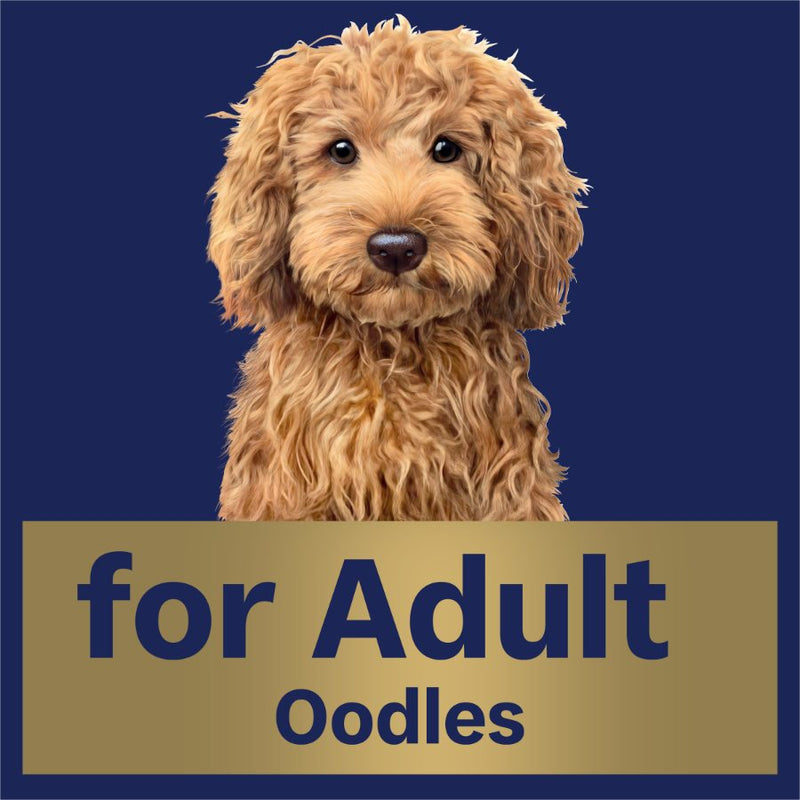 Advance Dog Adult Oodles with Salmon