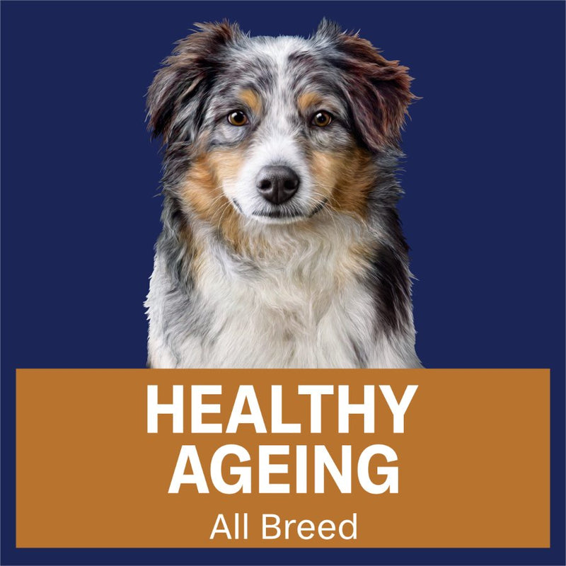 Advance Dog Healthy Ageing Chicken with Rice