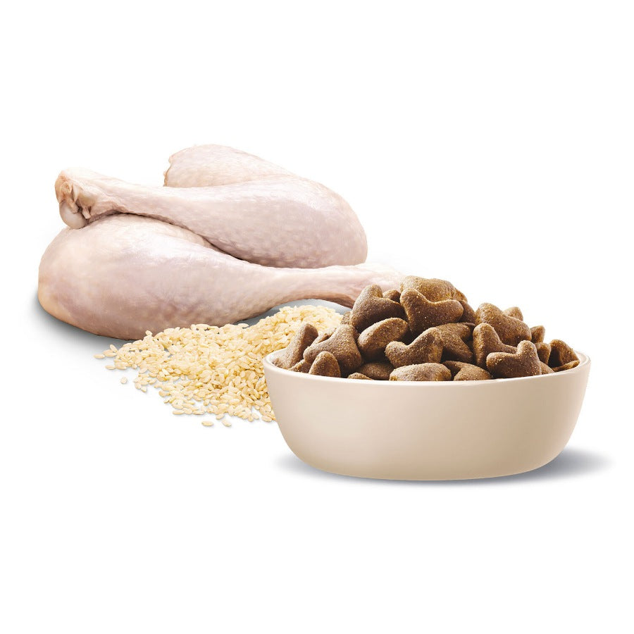 Advance Dog Shepherd Turkey And Rice