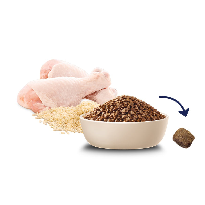 Advance Kitten Dry Cat Food Chicken with Rice