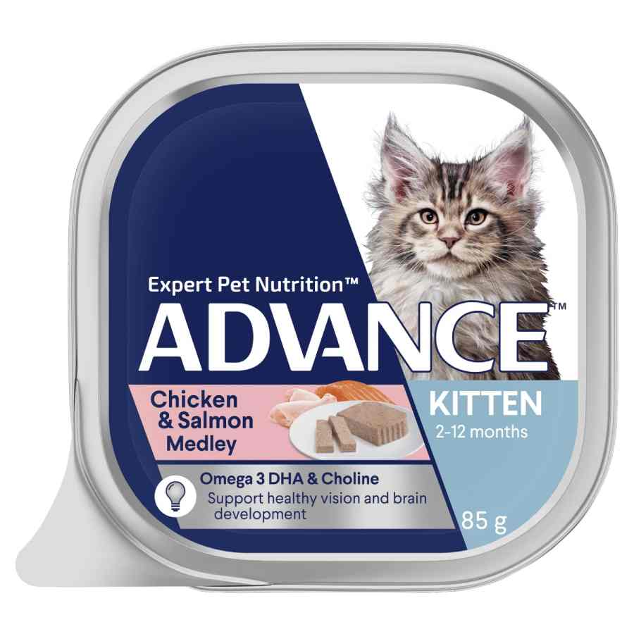 Advance Kitten Salmon Chicken